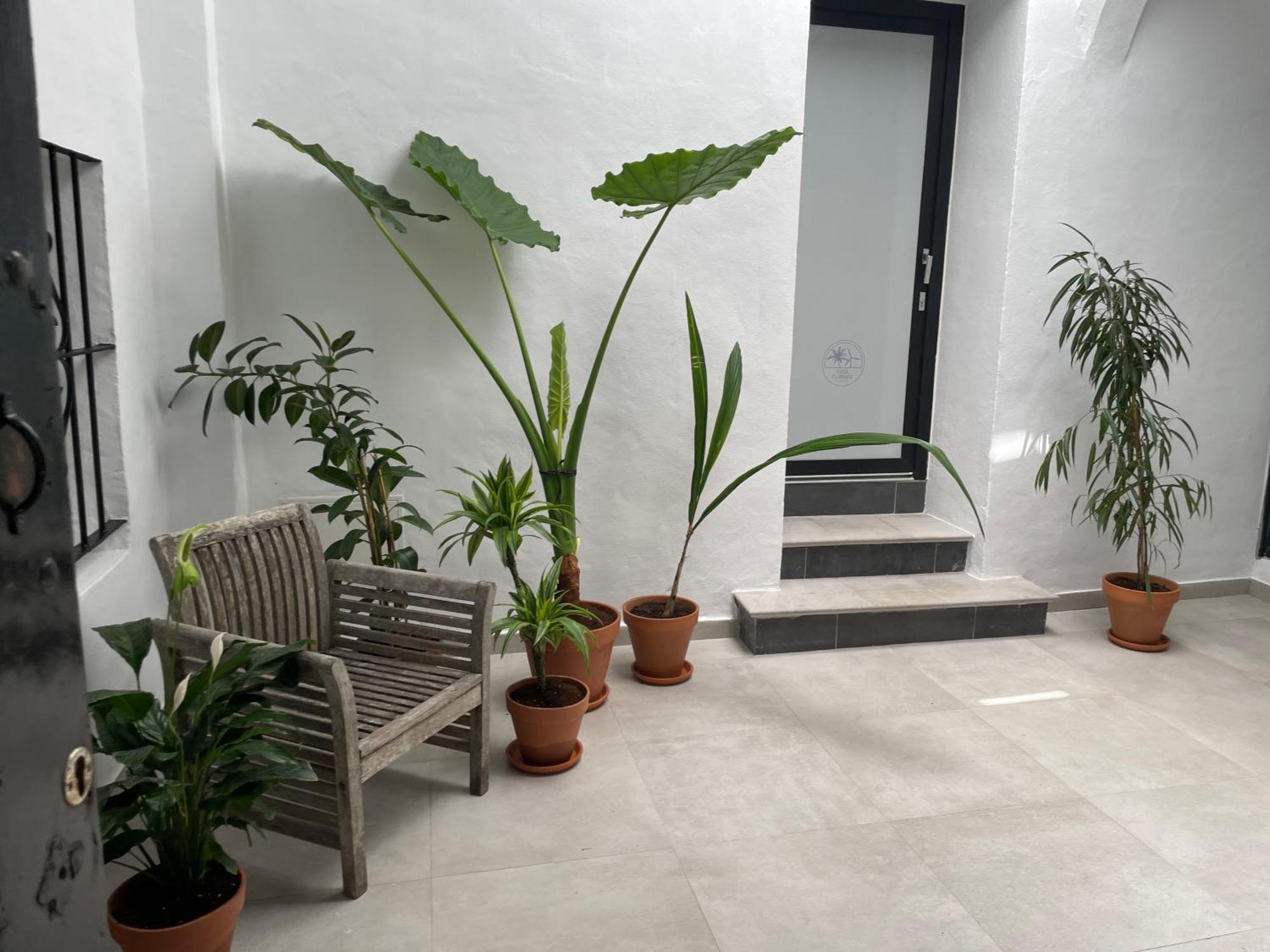 Casa Florinda Tarifa Daire Dış mekan fotoğraf