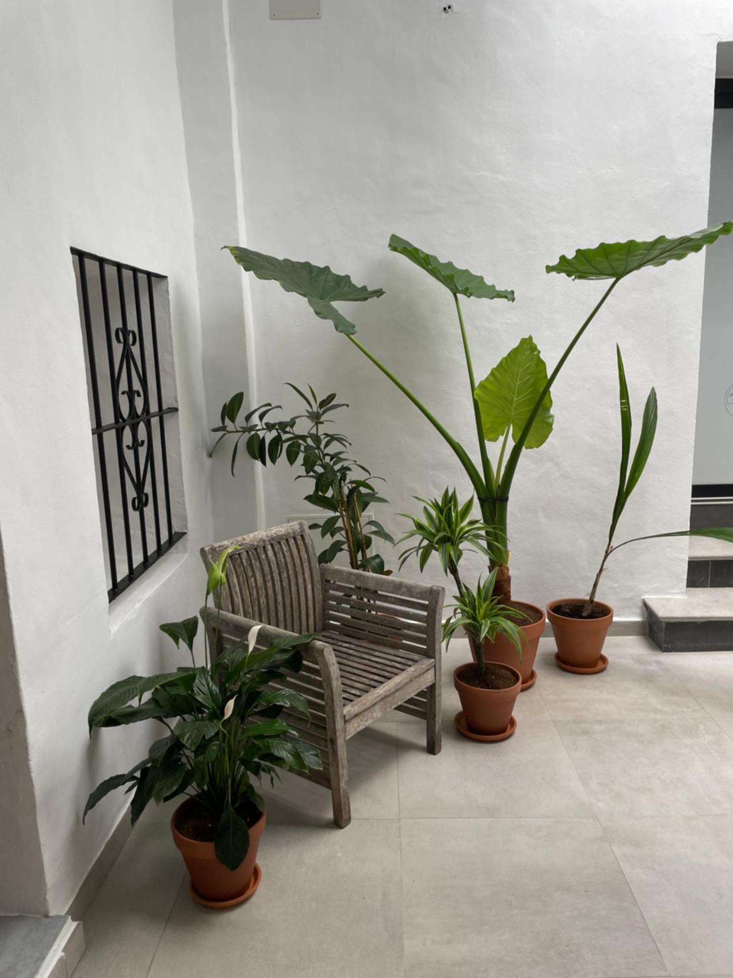 Casa Florinda Tarifa Daire Dış mekan fotoğraf