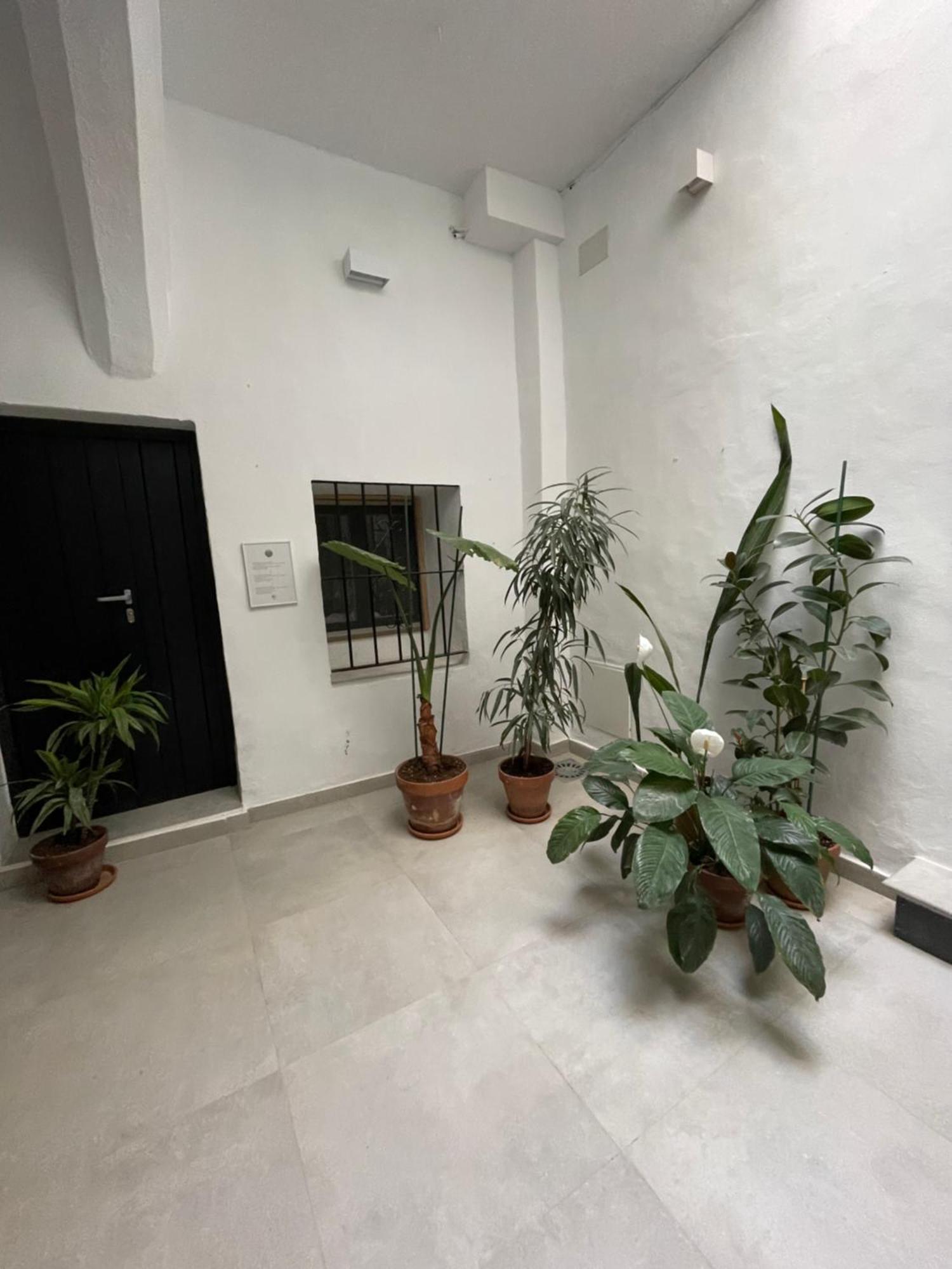Casa Florinda Tarifa Daire Dış mekan fotoğraf